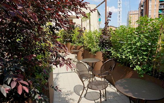 Marietta Strasoldo Garden Design - Office Terrace - Main Gallery - e1.jpg