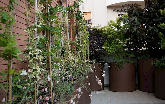 Marietta Strasoldo Garden Design - Office Terrace - Main Gallery - e10.jpg