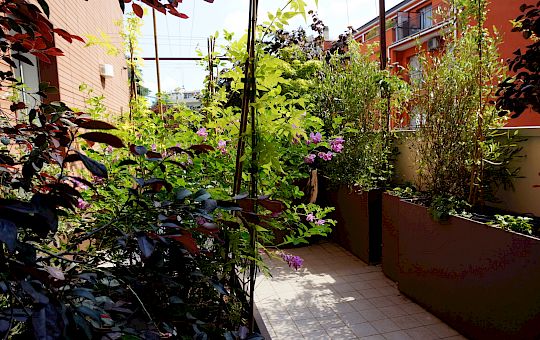 Marietta Strasoldo Garden Design - Office Terrace - Main Gallery - e12.jpg