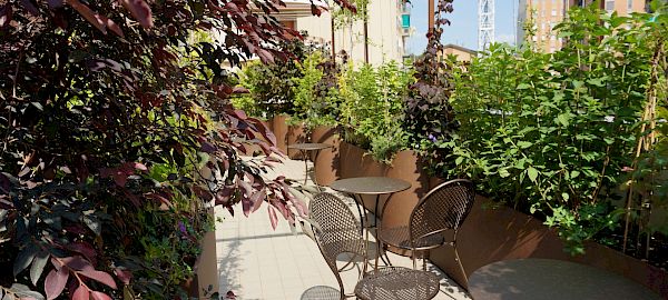 Office Terrace