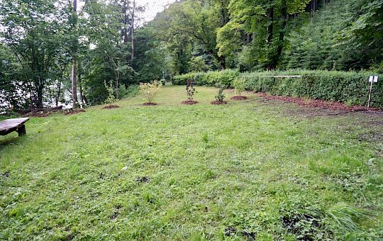 Marietta Strasoldo Garden Design - Next To The Lake - Main Gallery - 6-dsc02291.jpg