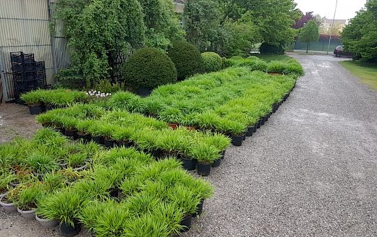 Marietta Strasoldo Garden Design - Starnberger See - Main Gallery - fc49b814-e1b0-412b-8a54-08dbdfe89c51.jpg