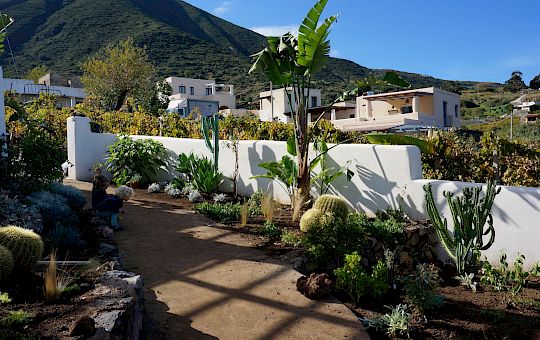 Marietta Strasoldo Garden Design - The Mediterranean Garden - Main Gallery - 36-pflanzen-16-1.jpg