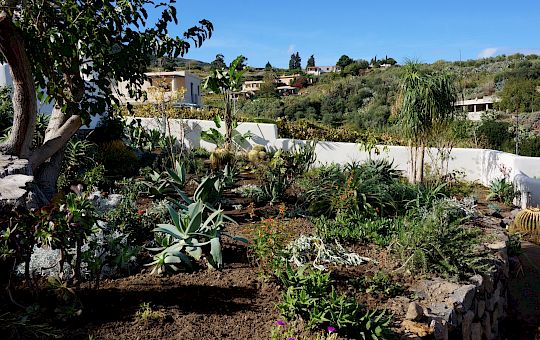 Marietta Strasoldo Garden Design - The Mediterranean Garden - Main Gallery - 37-pflanzen-17-1.jpg