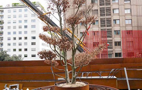 Marietta Strasoldo Garden Design - Urban City Terrace - Main Gallery - 08-1.jpg