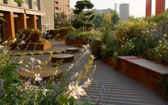 Marietta Strasoldo Garden Design - Urban City Terrace - Main Gallery - 13-1.jpg