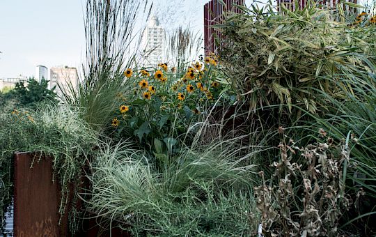 Marietta Strasoldo Garden Design - Urban City Terrace - Main Gallery - 16-1.jpg