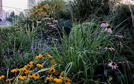 Marietta Strasoldo Garden Design - Urban City Terrace - Main Gallery - 17-1.jpg