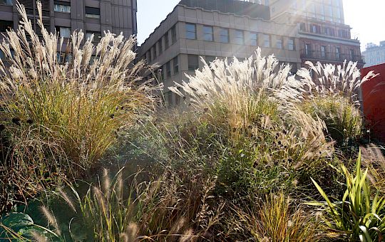 Marietta Strasoldo Garden Design - Urban City Terrace - Main Gallery - film-clip-urban-city-teracce-milan-2015-1.jpg