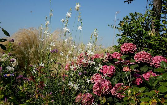 Marietta Strasoldo Garden Design - Roof Garden - Main Gallery - 21-2.jpg