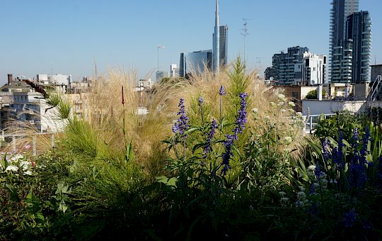 Marietta Strasoldo Garden Design - Terrazza - Main Gallery - 22-2.jpg