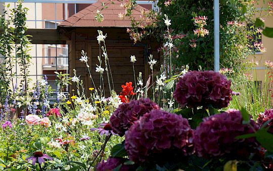 Marietta Strasoldo Garden Design - Roof Garden - Main Gallery - 28-1.jpg