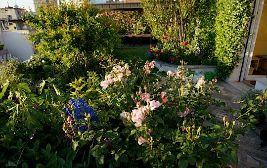 Marietta Strasoldo Garden Design - Terrazza - Main Gallery - 40_dsc01236_copia.jpeg