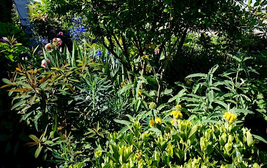 Marietta Strasoldo Garden Design - Terrazza - Main Gallery - 42_dsc01531_copia.jpeg