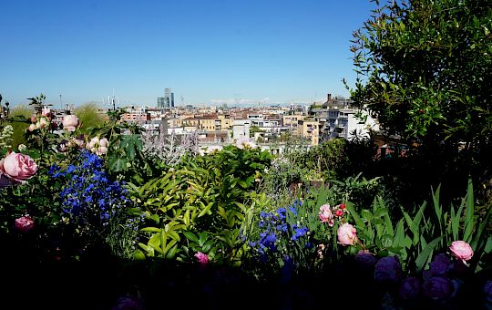 Marietta Strasoldo Garden Design - Terrazza - Main Gallery - 44_dsc01535_copia.jpeg