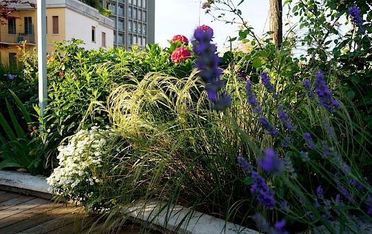 Marietta Strasoldo Garden Design - Terrazza - Main Gallery - 49_dsc02623_copia.jpeg