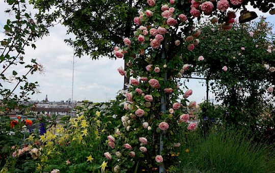 Marietta Strasoldo Garden Design - Roof Garden - Main Gallery - after-01-1.jpg