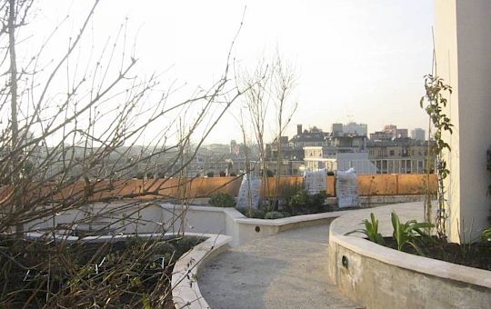 Marietta Strasoldo Garden Design - Roof Garden - Main Gallery - before-03-1.jpg