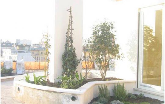 Marietta Strasoldo Garden Design - Terrazza - Main Gallery - before-04-1.jpg