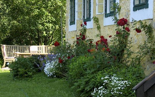 Marietta Strasoldo Garden Design - Cottage Garden - Main Gallery - img-13-1.jpg