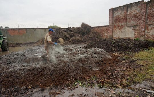 Gallery 2014 - Italy, 25 tons of Bokashi - 02.jpg