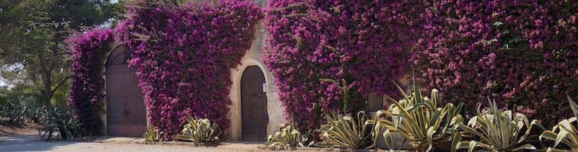 2016 - Italy, Puglia