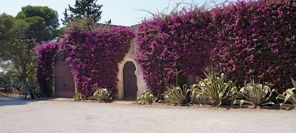 2016 - Italia, Puglia