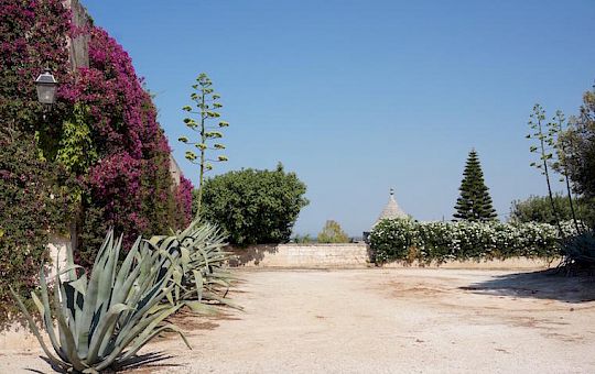 Gallery 2016 - Italy, Puglia - dsc02463_1-copia.jpg