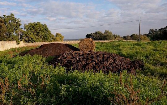 Gallery 2016 - Italy, Puglia - dsc05728_4-copia.jpg