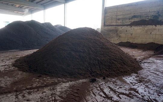 Gallery 2016 - Soil Production - 1-copia.jpg