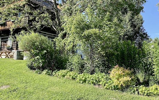 Marietta Strasoldo Garden Design - A Country Garden - Before Gallery - 14-beet_freistehendes_beet_2-1.jpeg