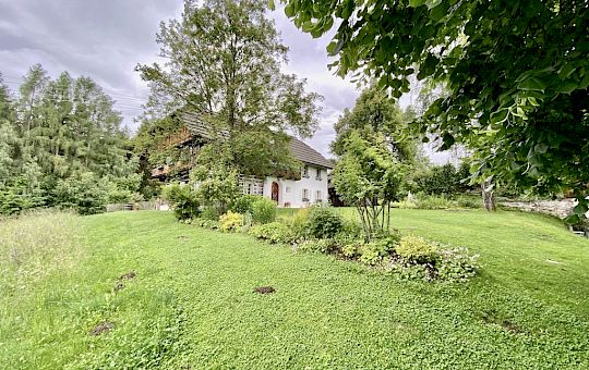 Marietta Strasoldo Garden Design - A Country Garden - Before Gallery - 15-beet_freistehendes_beet_3-1.jpeg