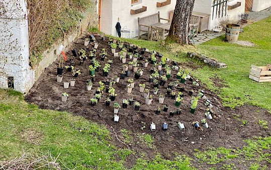 Marietta Strasoldo Garden Design - A Country Garden - Planting Gallery - 78-016amauer_copia.jpeg