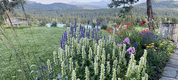 A Country Garden