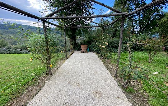 Marietta Strasoldo Garden Design - Orvieto - Main Gallery - before_10.jpeg