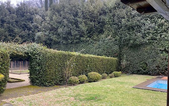 Marietta Strasoldo Garden Design - Orvieto - Main Gallery - before_2.jpeg