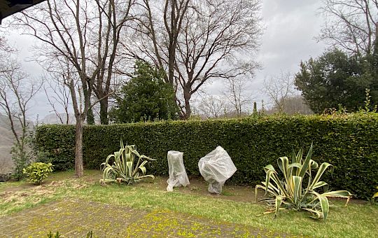 Marietta Strasoldo Garden Design - Orvieto - Main Gallery - before_4.jpeg
