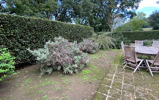 Marietta Strasoldo Garden Design - Orvieto - Main Gallery - before_6.jpeg