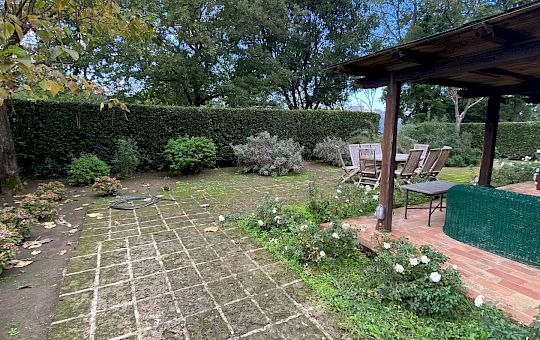 Marietta Strasoldo Garden Design - Orvieto - Main Gallery - before_7.jpeg
