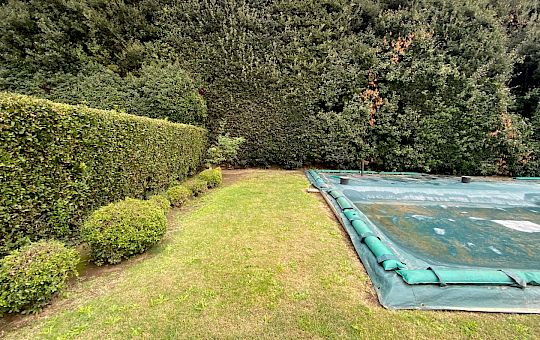 Marietta Strasoldo Garden Design - Orvieto - Main Gallery - before_79jpeg.jpeg