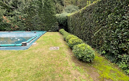 Marietta Strasoldo Garden Design - Orvieto - Main Gallery - before_8jpeg.jpeg
