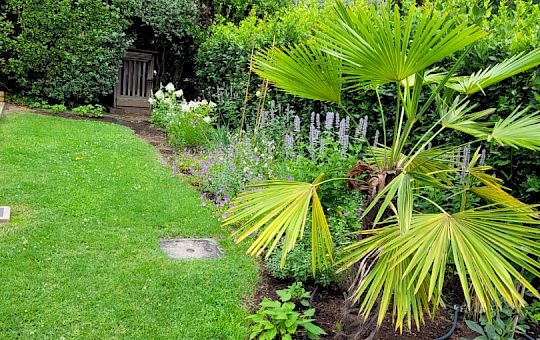 Marietta Strasoldo Garden Design - Orvieto - Main Gallery - final_2.jpg