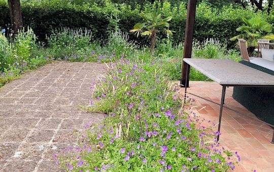 Marietta Strasoldo Garden Design - Orvieto - Main Gallery - final_3.jpg
