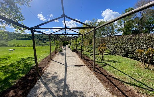 Marietta Strasoldo Garden Design - Orvieto - Main Gallery - lets_get_ready_20.jpeg
