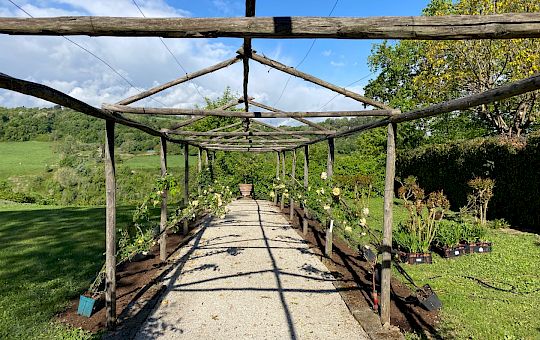 Marietta Strasoldo Garden Design - Orvieto - Main Gallery - planting_22.jpeg