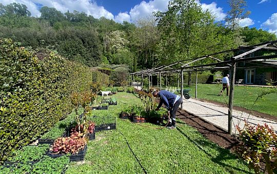 Marietta Strasoldo Garden Design - Orvieto - Main Gallery - planting_24.jpeg