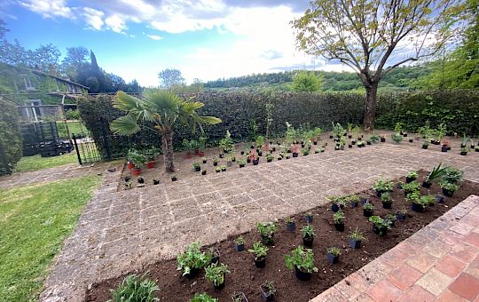 Marietta Strasoldo Garden Design - Orvieto - Main Gallery - planting_3.jpeg